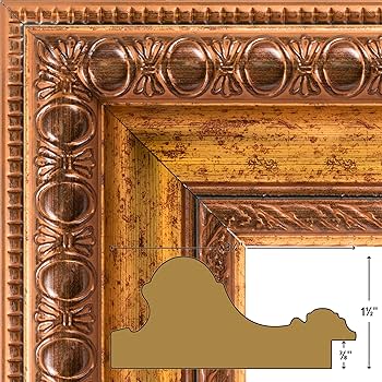 Amazon.com - Craig Frames Arqadia Gothic, 20x30 Picture